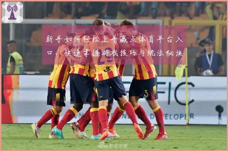 新手如何轻松上手赢点体育平台入口，快速掌握游戏技巧与玩法秘诀