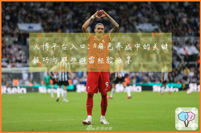 火博平台入口：角色养成中的关键技巧与那些避雷经验分享