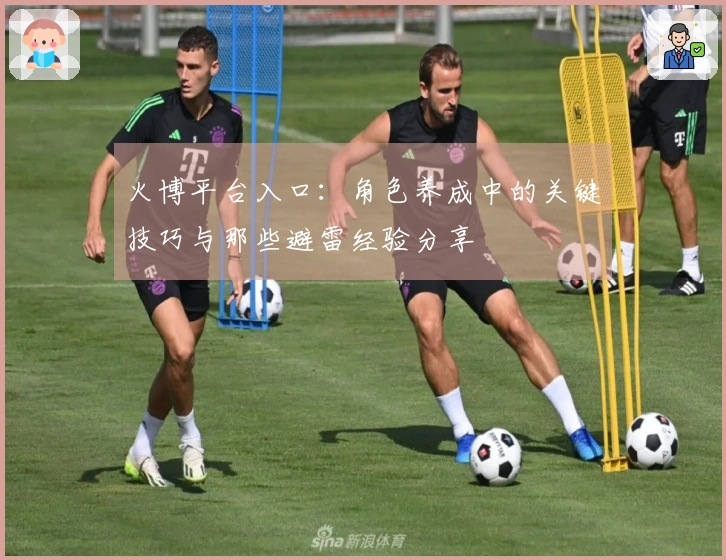 火博平台入口：角色养成中的关键技巧与那些避雷经验分享